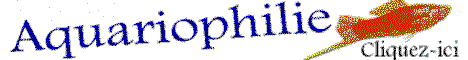 Banniere_aqua.gif (3804 octets)
